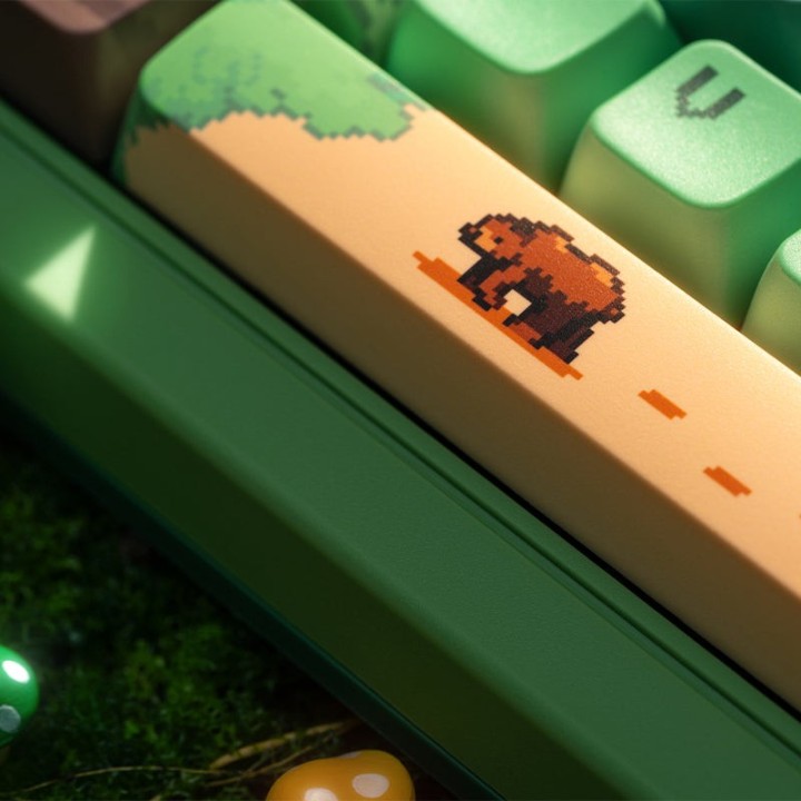 8BitDo Retro 87 / Retro R8 – clavier ou souris, édition Forest Wonder