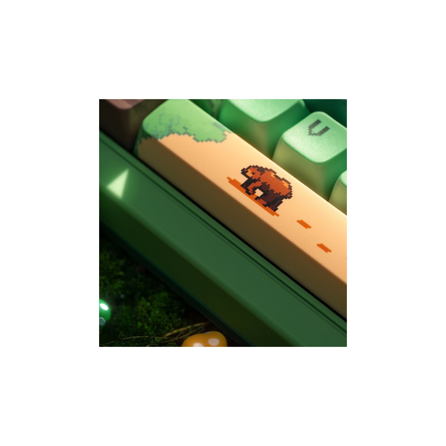8BitDo Retro 87 / Retro R8 – clavier ou souris, édition Forest Wonder