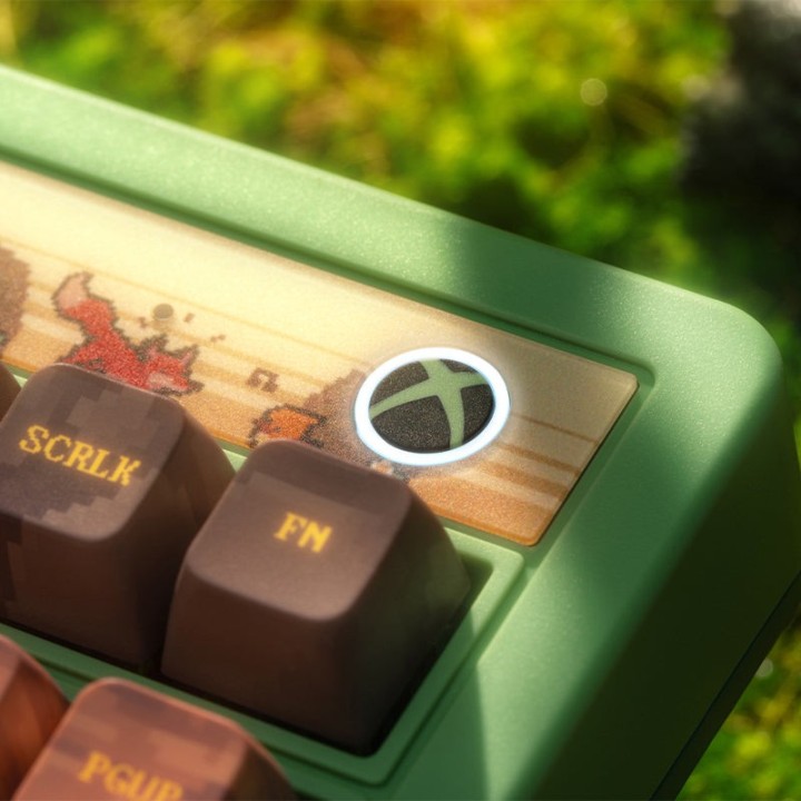 8BitDo Retro 87 / Retro R8 – clavier ou souris, édition Forest Wonder