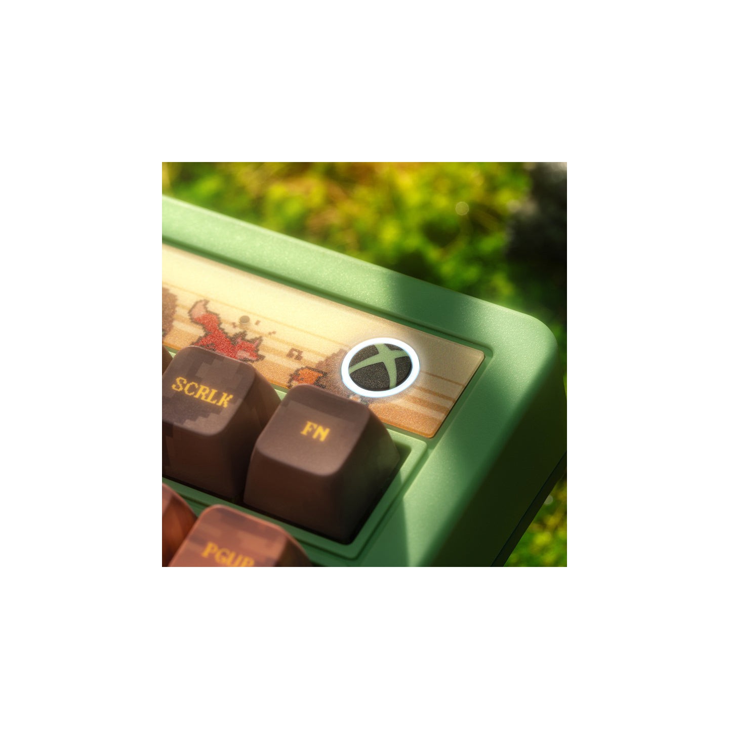 8BitDo Retro 87 / Retro R8 – clavier ou souris, édition Forest Wonder