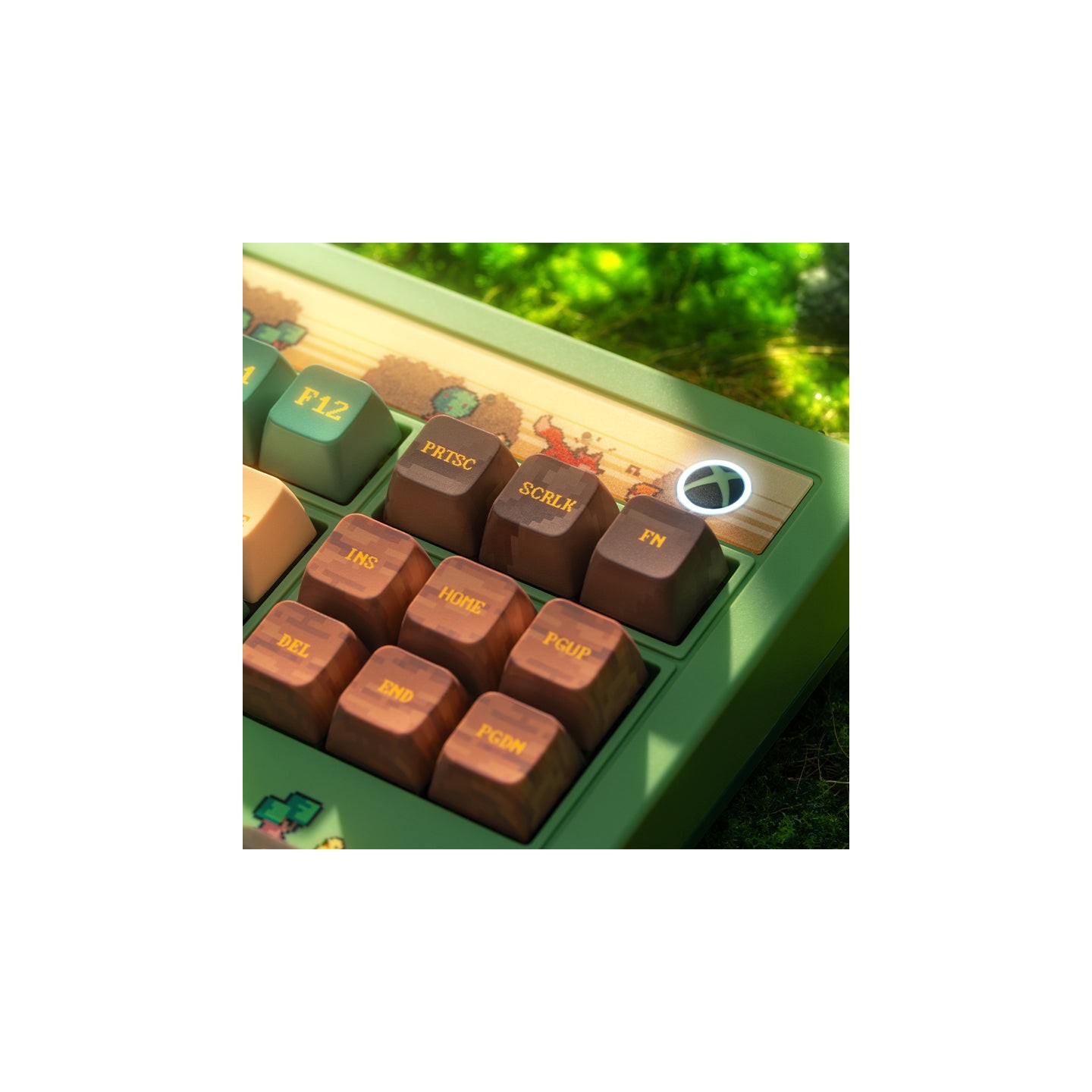8BitDo Retro 87 / Retro R8 – clavier ou souris, édition Forest Wonder