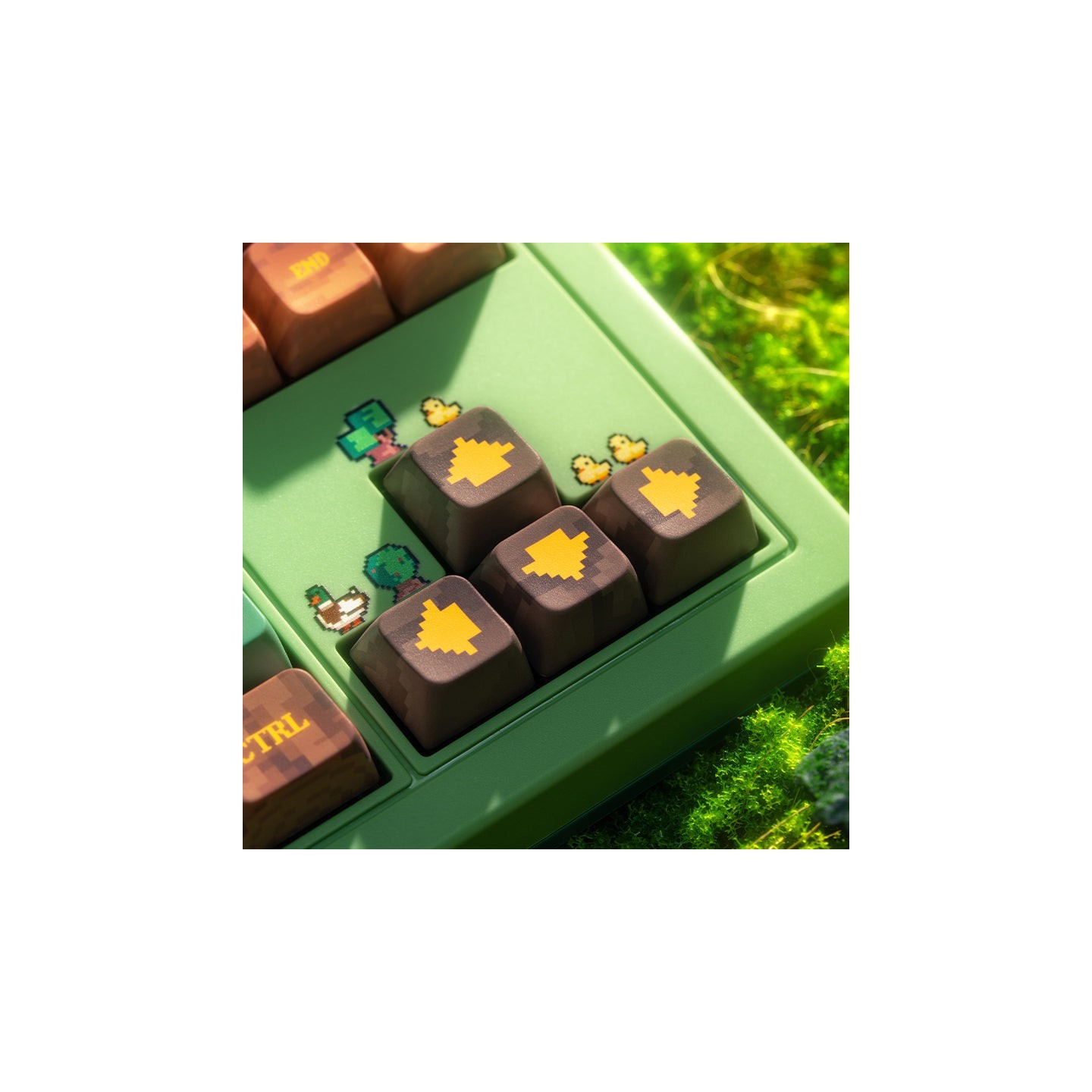 8BitDo Retro 87 / Retro R8 – clavier ou souris, édition Forest Wonder