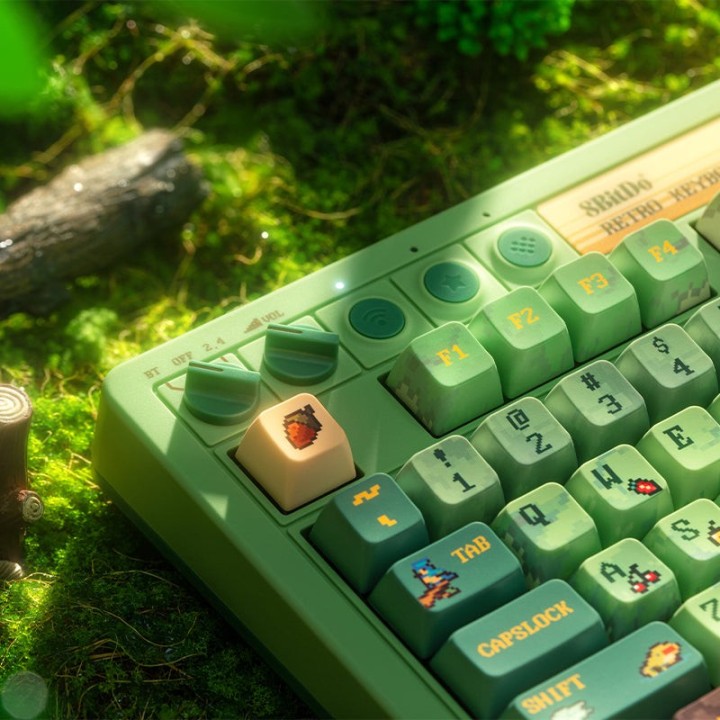 8BitDo Retro 87 / Retro R8 – clavier ou souris, édition Forest Wonder