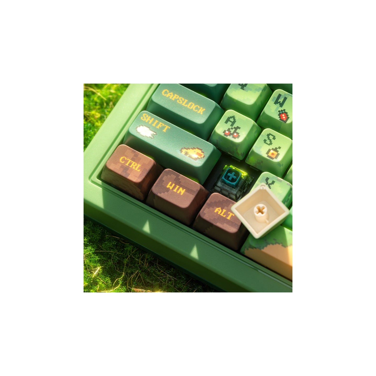 8BitDo Retro 87 / Retro R8 – clavier ou souris, édition Forest Wonder