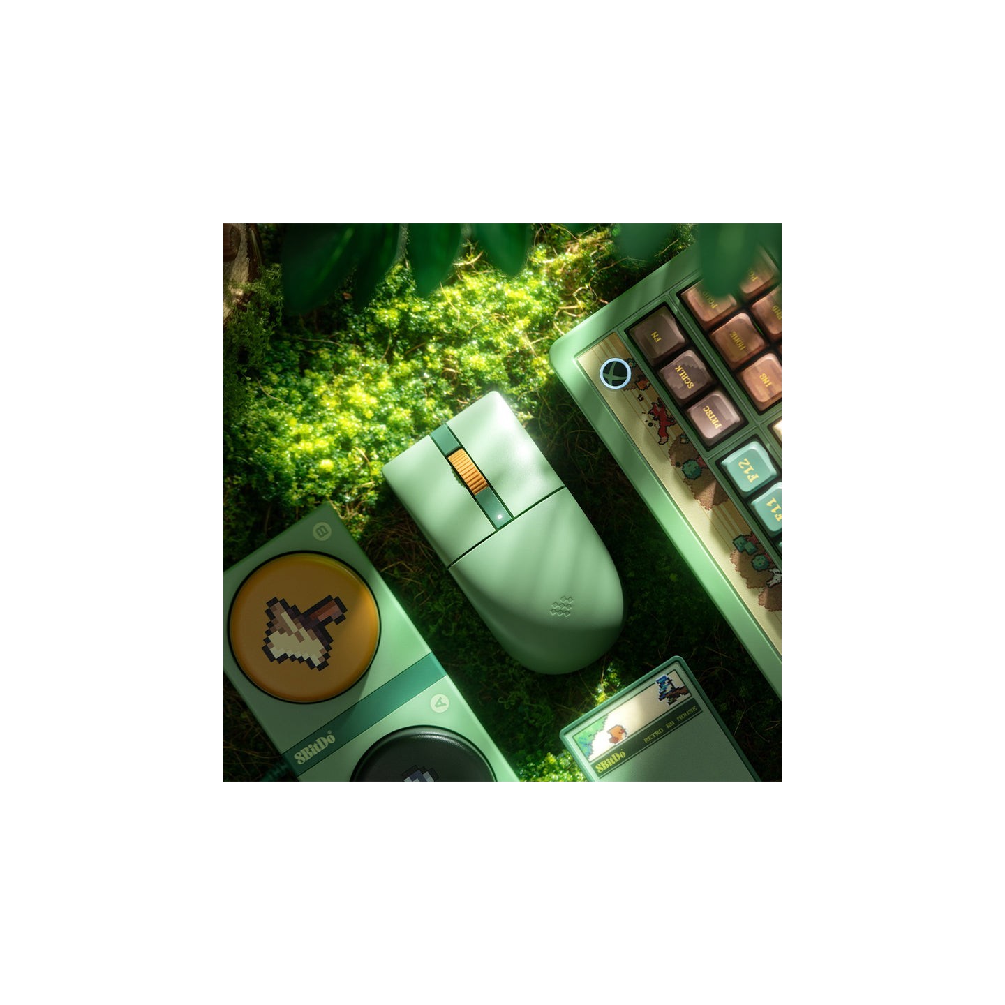 8BitDo Retro 87 / Retro R8 – clavier ou souris, édition Forest Wonder