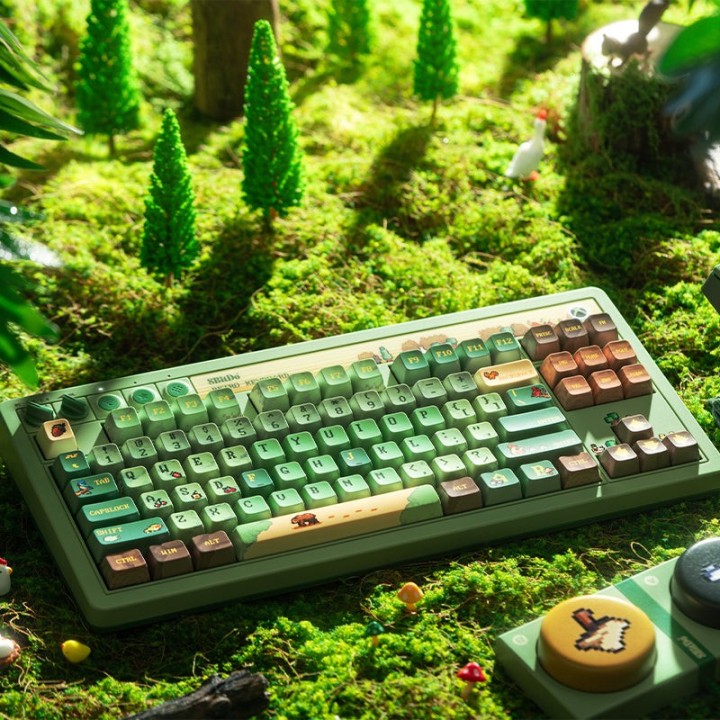 8BitDo Retro 87 / Retro R8 – clavier ou souris, édition Forest Wonder