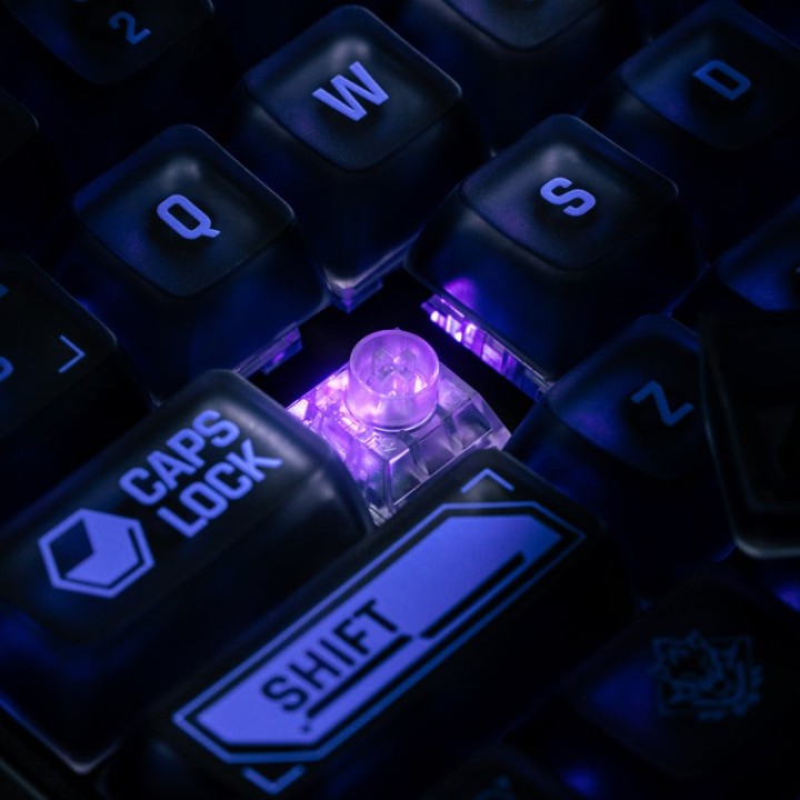 8BitDo Retro 87 – clavier mécanique, édition Mecha BREAK : Panther