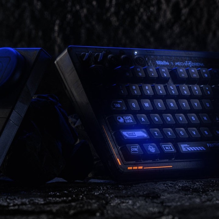 8BitDo Retro 87 – clavier mécanique, édition Mecha BREAK : Panther