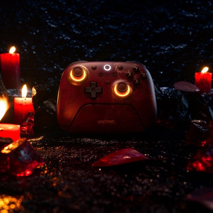 8BitDo Ultimate 2 – manette sans fil, édition WUCHANG: Fallen Feathers