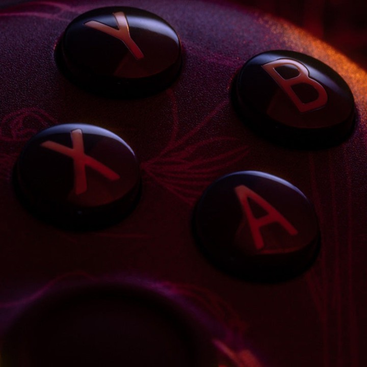 8BitDo Ultimate 2 – manette sans fil, édition WUCHANG: Fallen Feathers