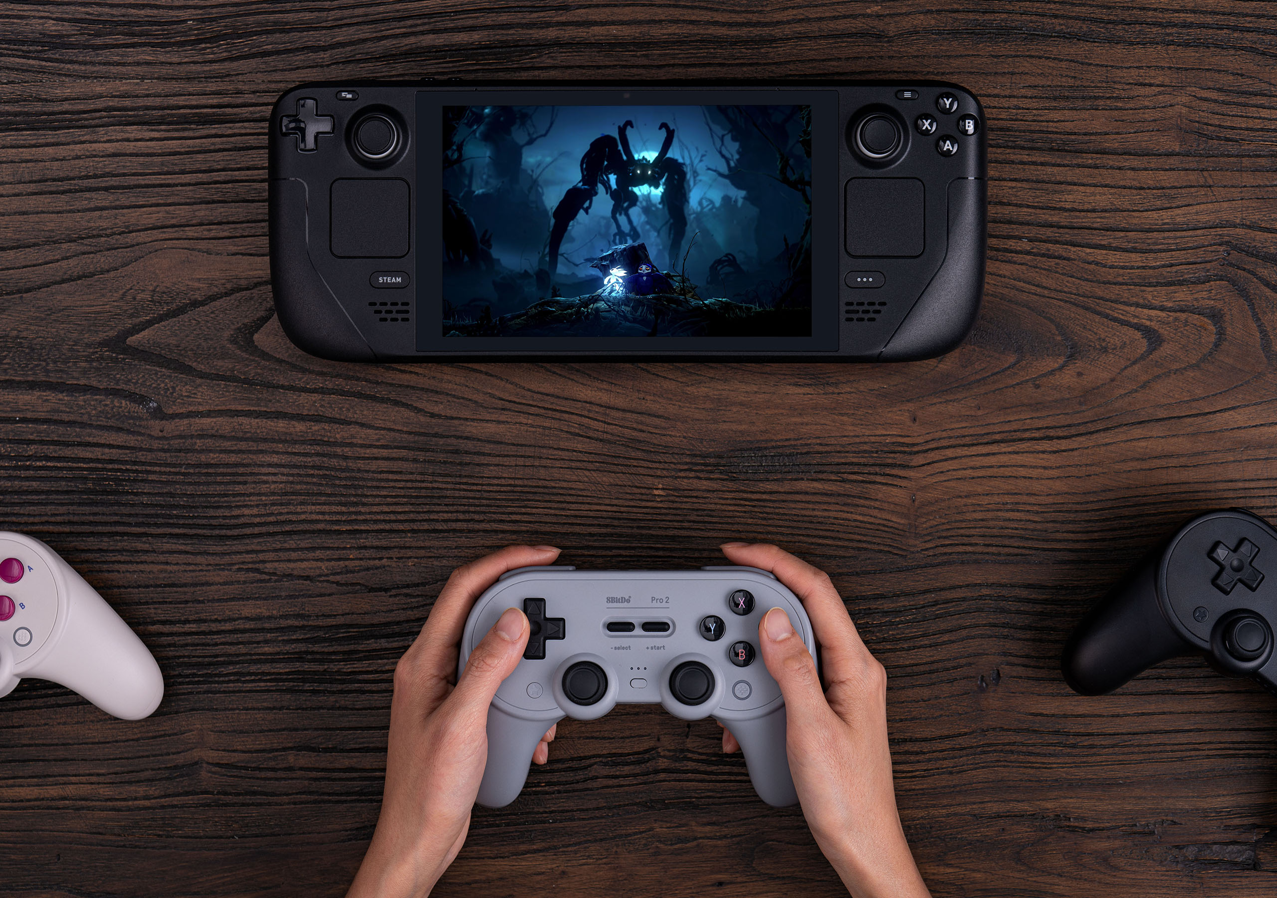 Compatibilité avec Steam ®