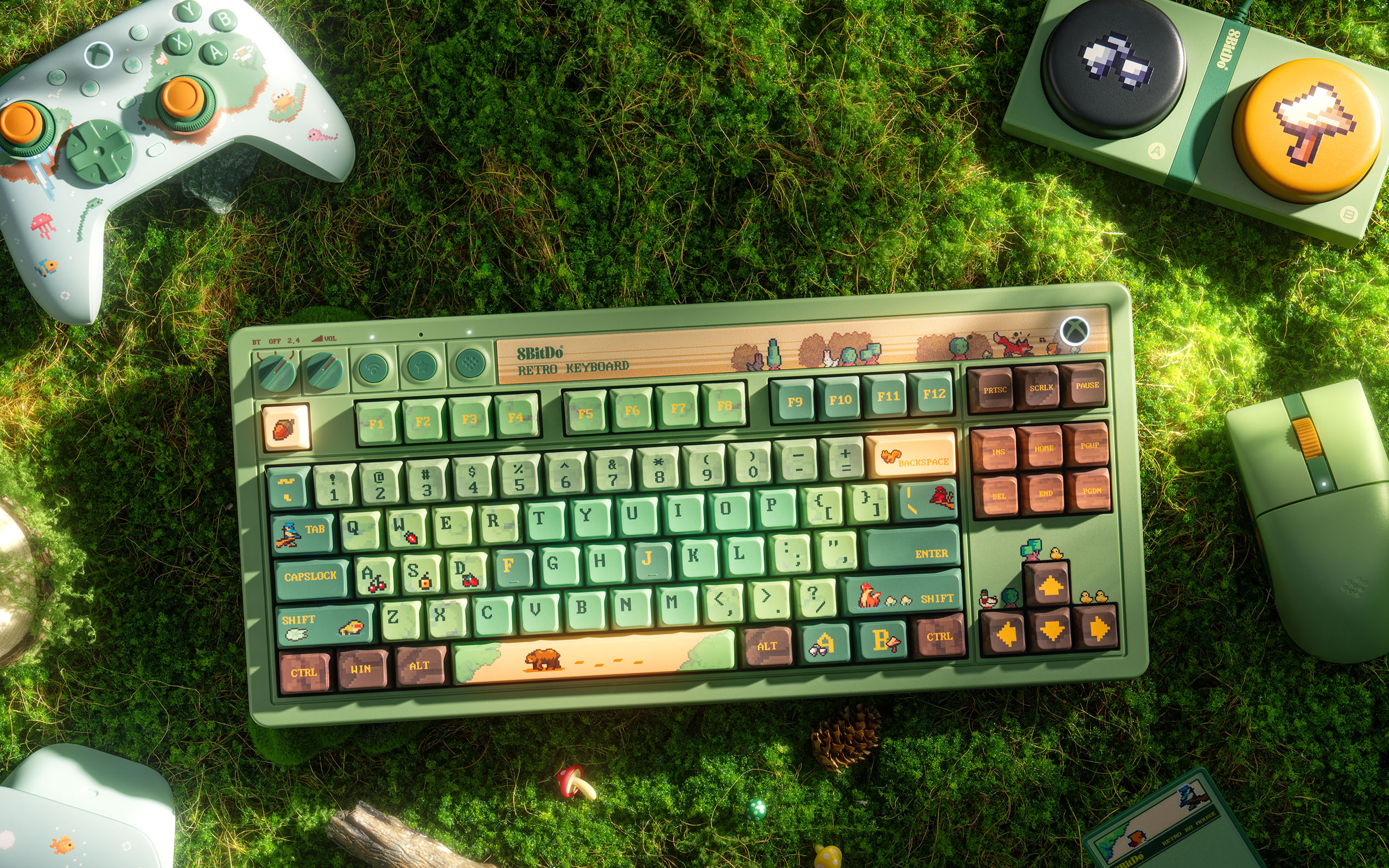 Forest Wonder