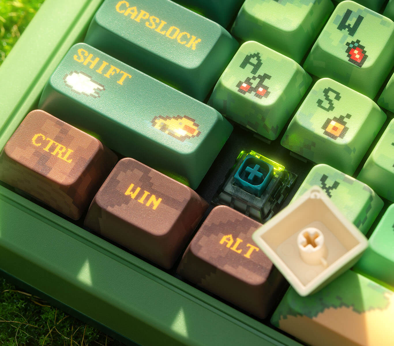 Switchs exclusifs 8BitDo et PCB hot-swap